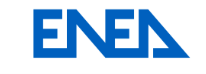 Agenzia nazionale per nuove tecnologie ed energia ENEA